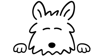 Haidooks mascot looking over the card